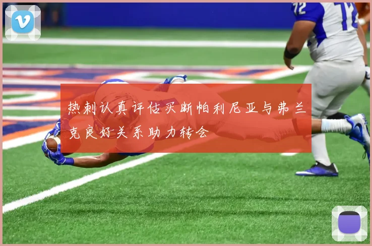 热刺认真评估买断帕利尼亚与弗兰克良好关系助力转会