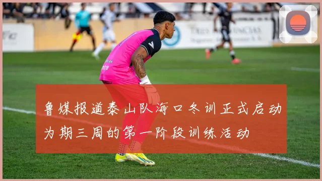 鲁媒报道泰山队海口冬训正式启动为期三周的第一阶段训练活动