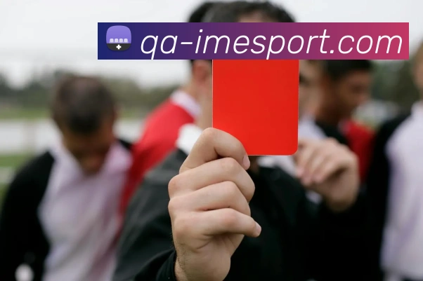 IM电竞平台生态图