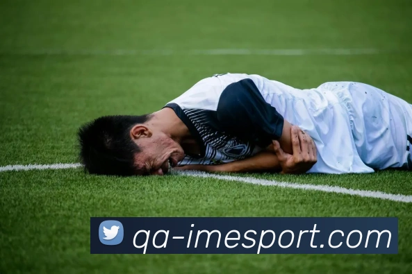 IM电竞APP 封面图